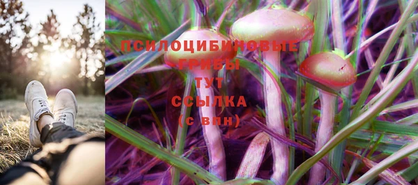PSILOCYBIN Арсеньев