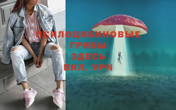 PSILOCYBIN Арсеньев