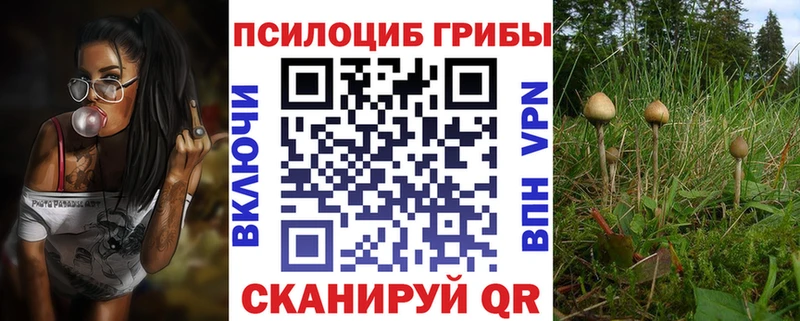Псилоцибиновые грибы мухоморы  что такое   Полевской 